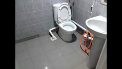 Camellia Lodge (D14), Apartment #481373211